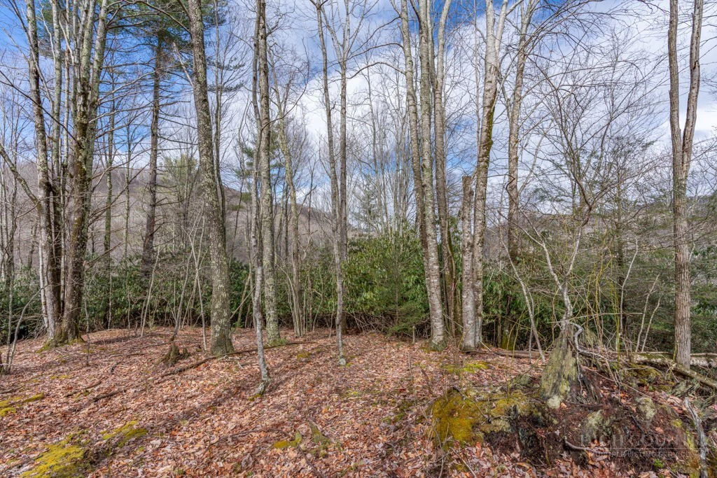Image number 13 for the current listing