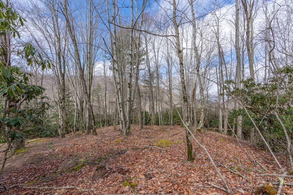 Image number 14 for the current listing