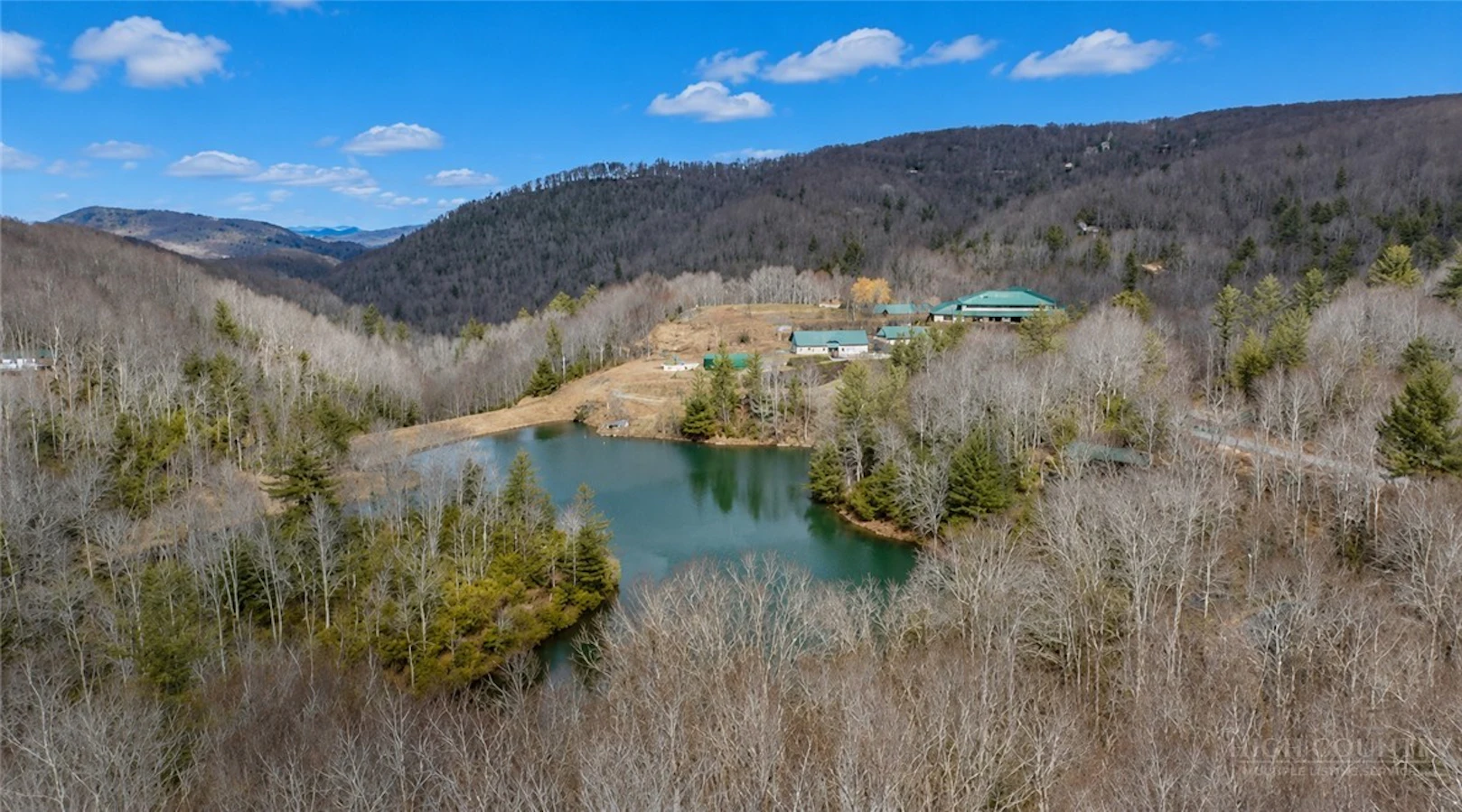 Image number 1 for the current listing