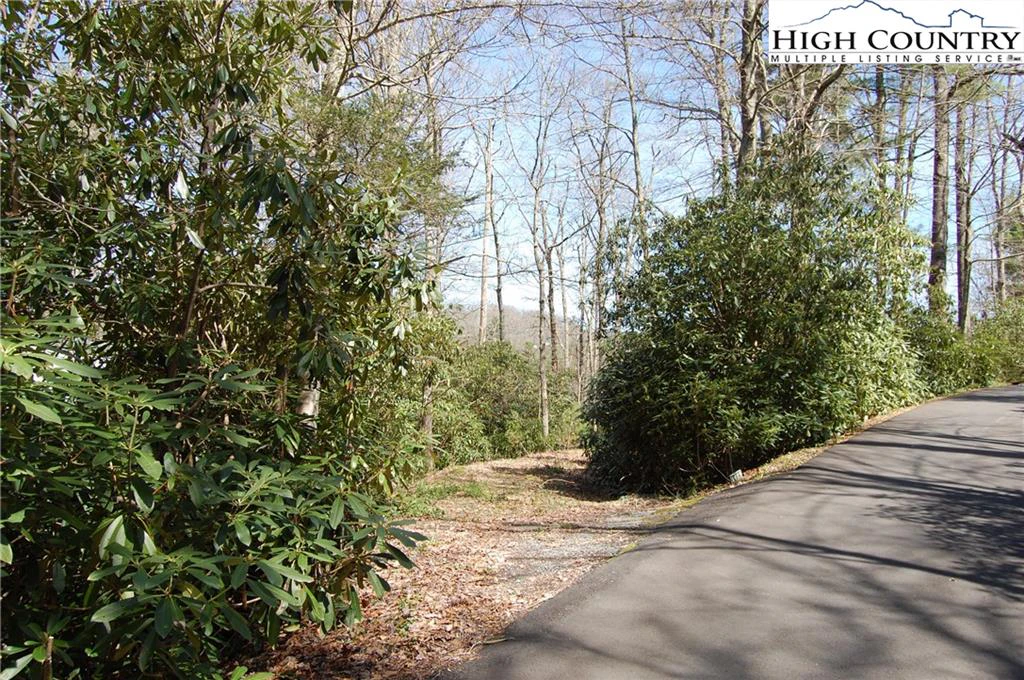 Image number 1 for the current listing