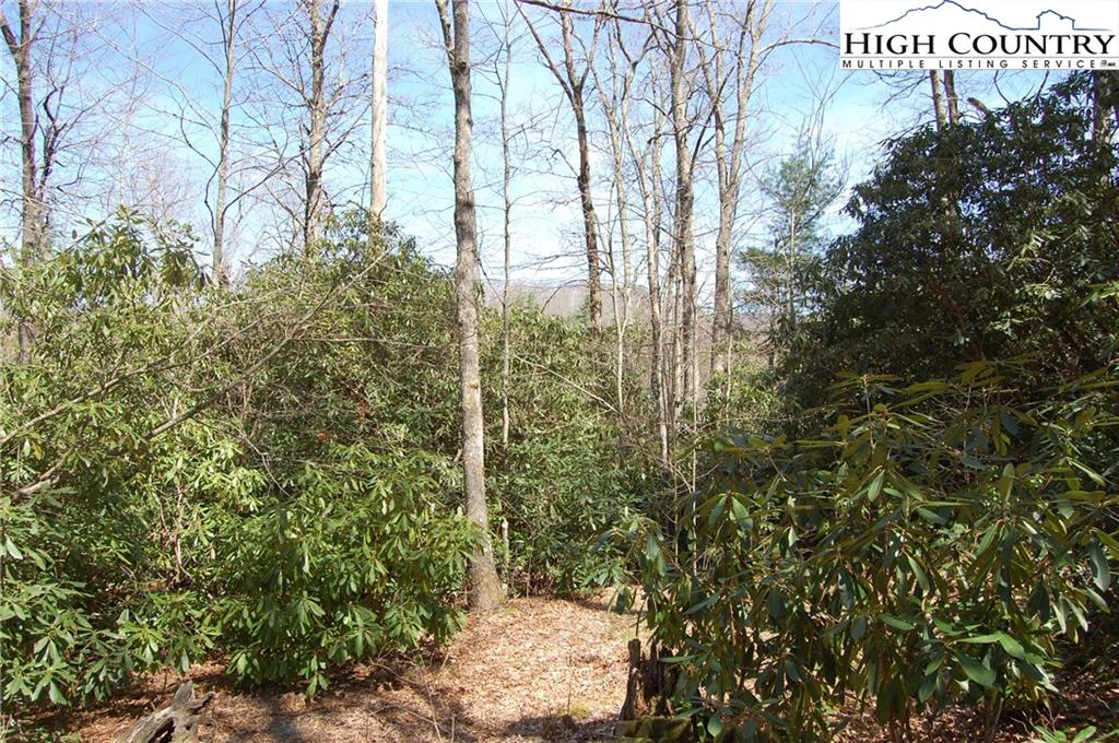 Image number 4 for the current listing