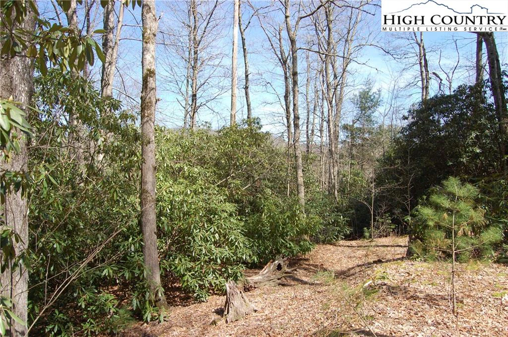 Image number 5 for the current listing