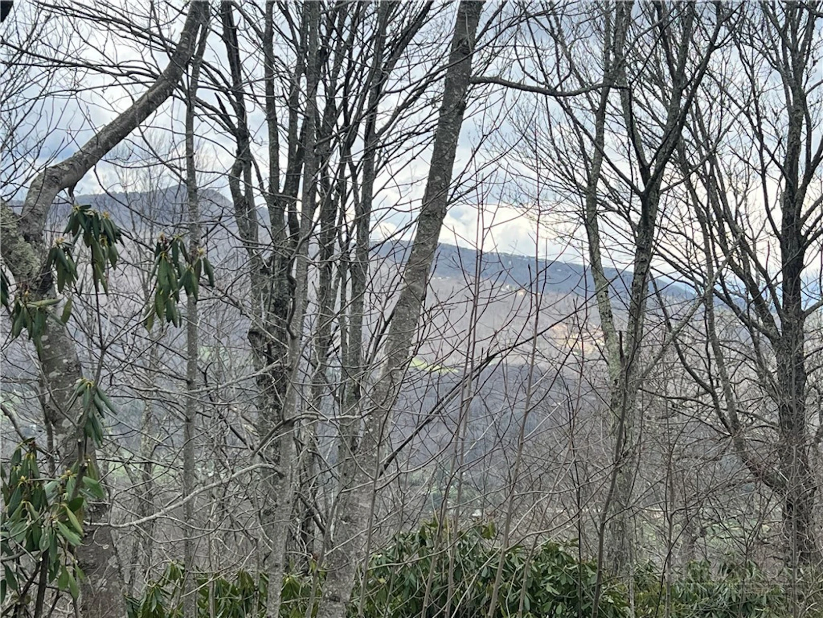 Image number 1 for the current listing