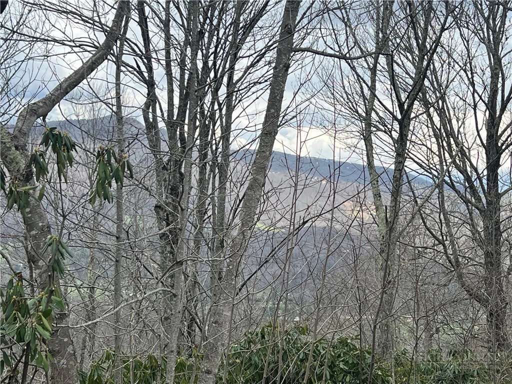 Image number 1 for the current listing