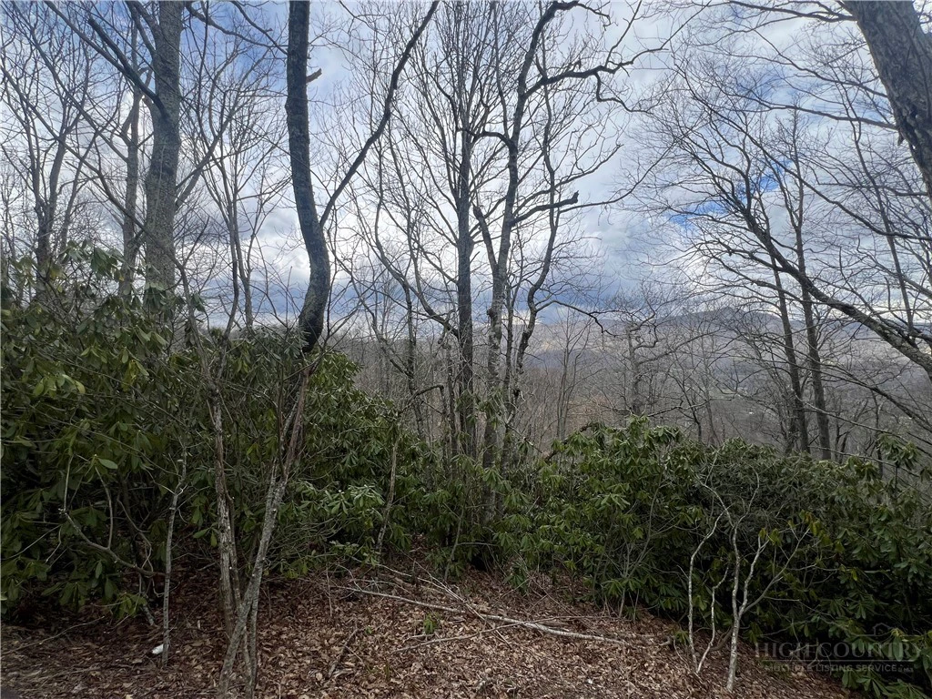 Image number 4 for the current listing