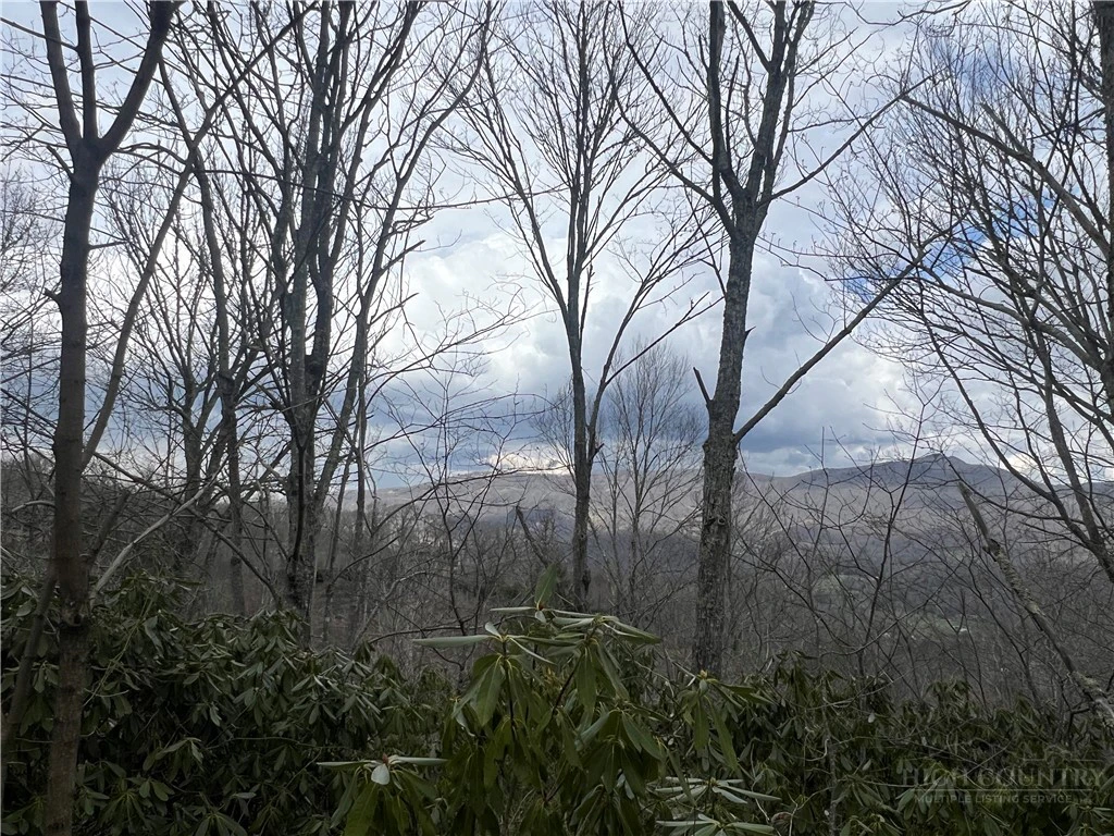 Image number 5 for the current listing
