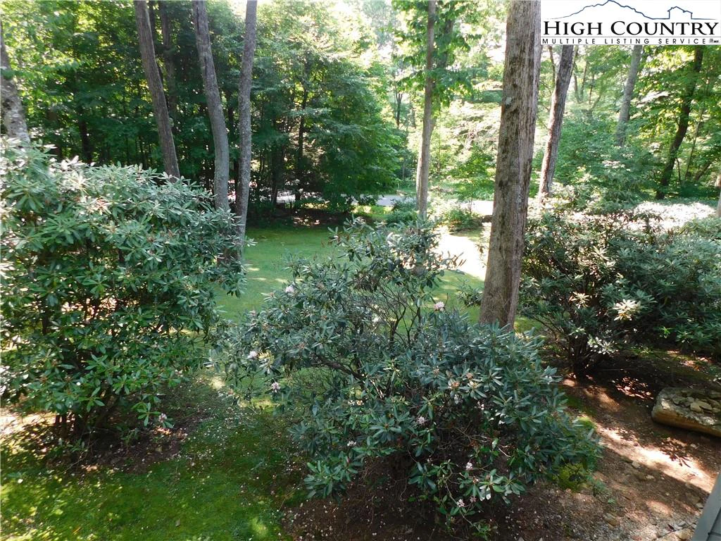 Image number 2 for the current listing