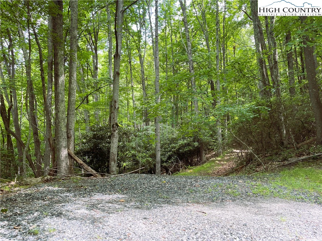 Image number 1 for the current listing