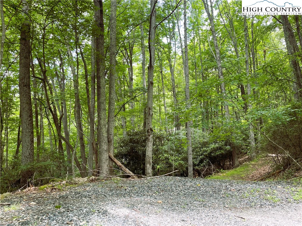Image number 4 for the current listing