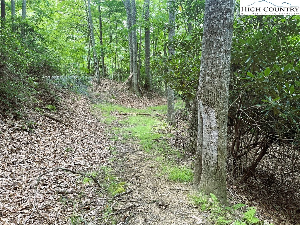 Image number 3 for the current listing