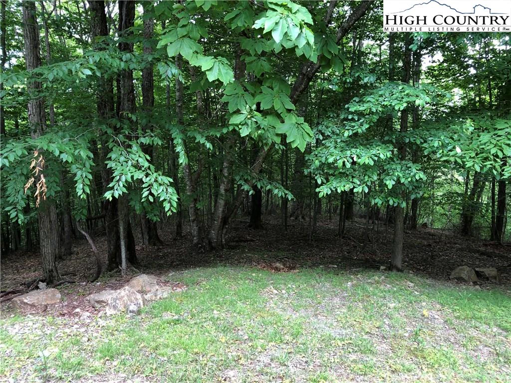 Image number 1 for the current listing
