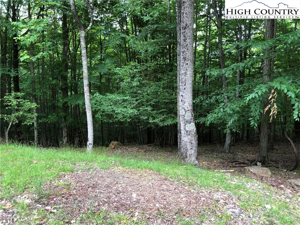Image number 3 for the current listing
