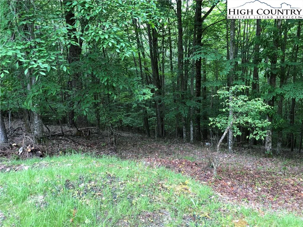Image number 4 for the current listing