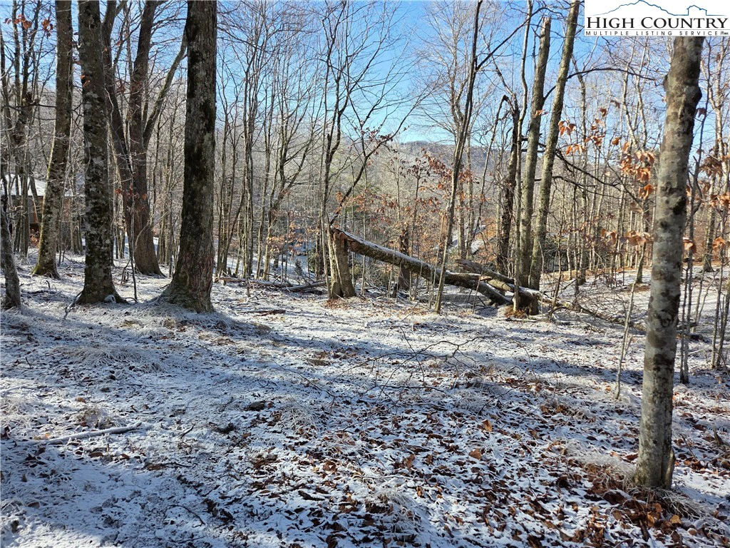 Image number 1 for the current listing