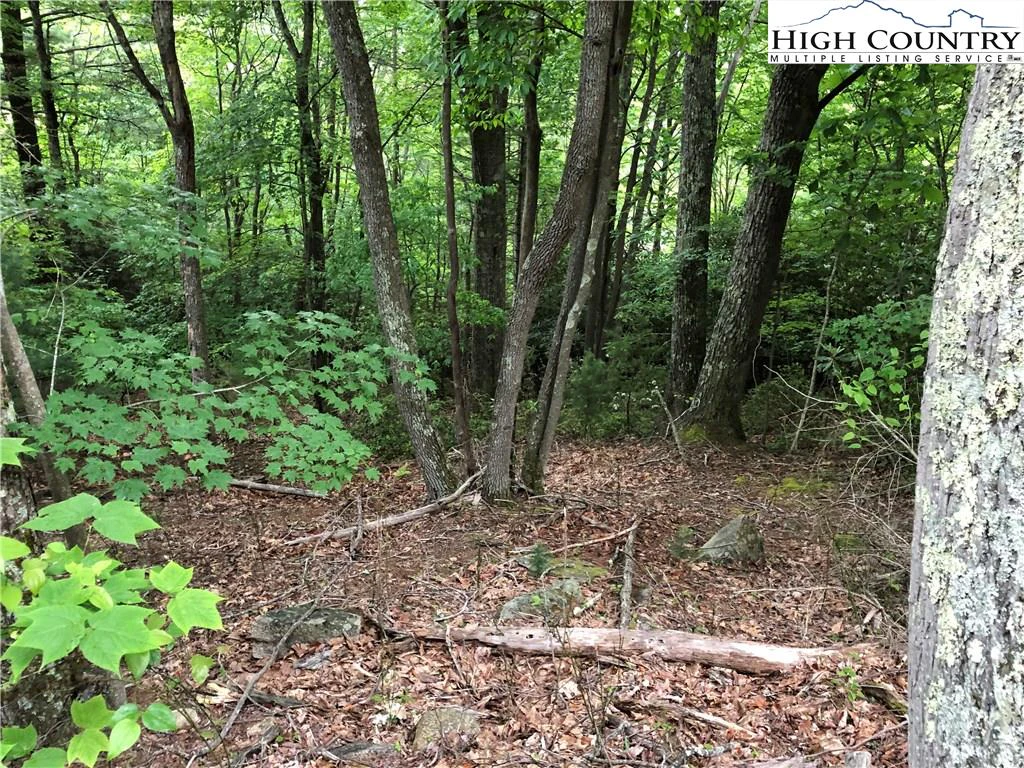 Image number 1 for the current listing