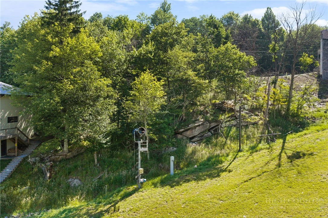 Image number 4 for the current listing