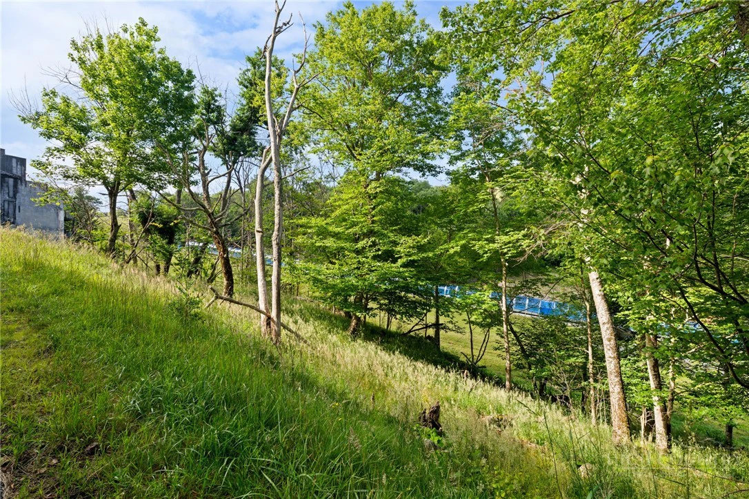 Image number 5 for the current listing