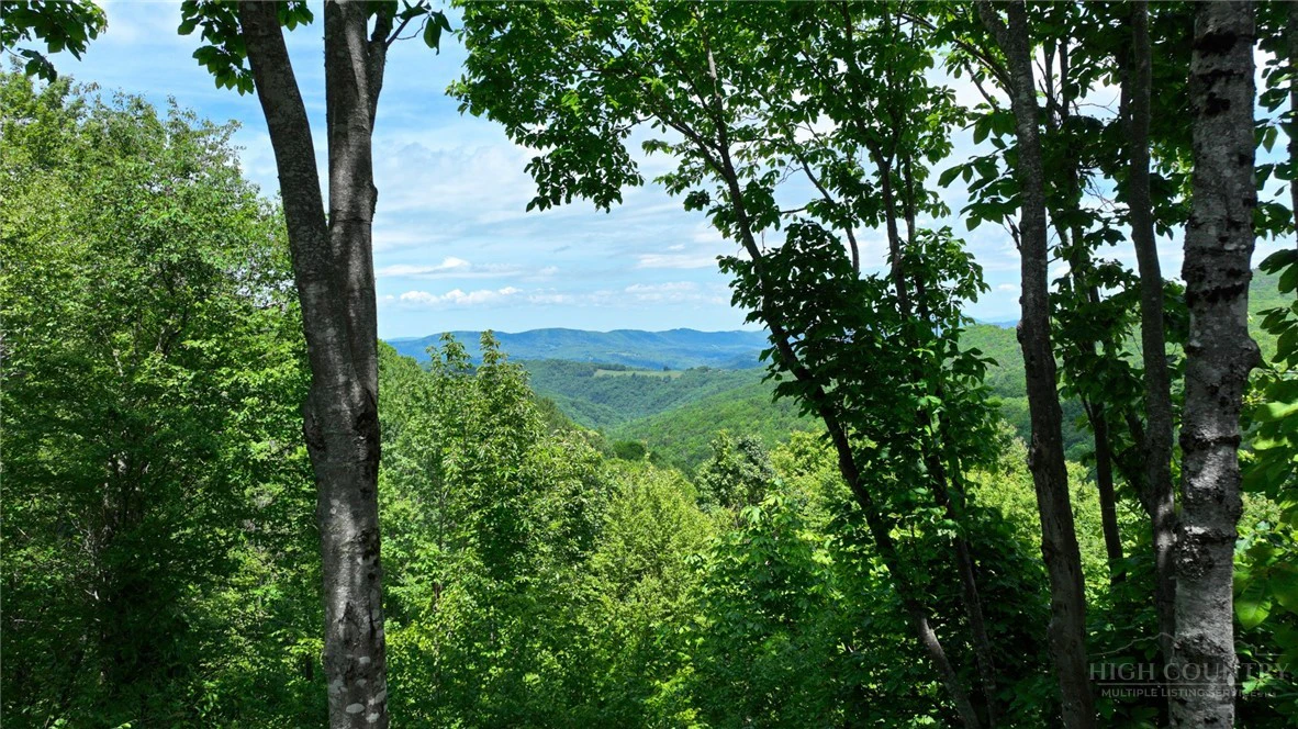 Image number 13 for the current listing