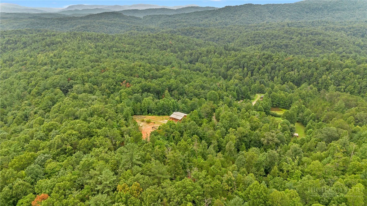Image number 2 for the current listing