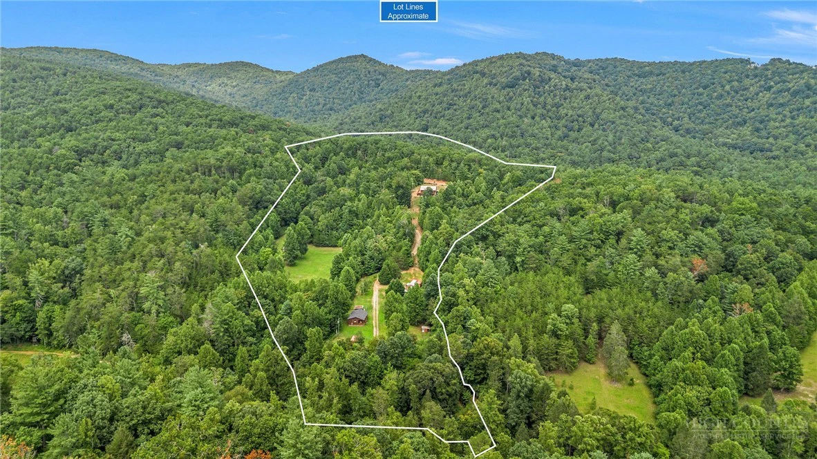 Image number 3 for the current listing