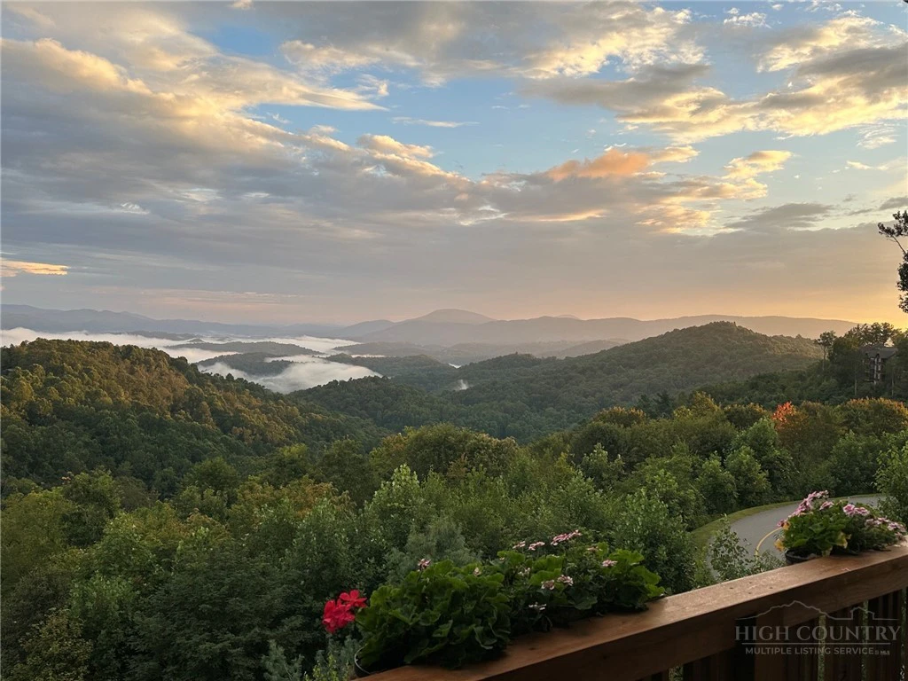 Image number 3 for the current listing