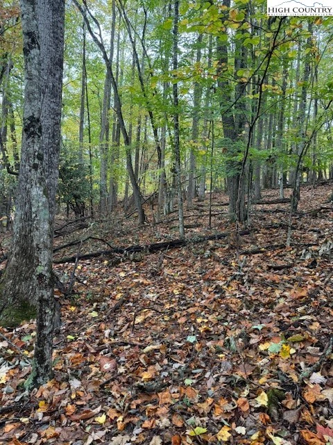 Image number 1 for the current listing