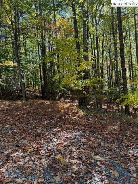 Image number 5 for the current listing