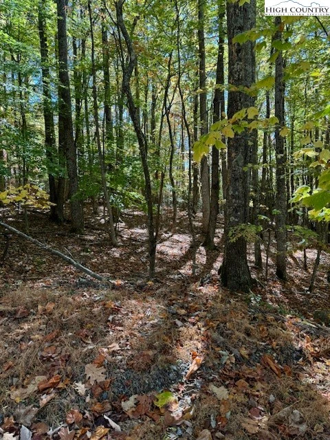 Image number 6 for the current listing