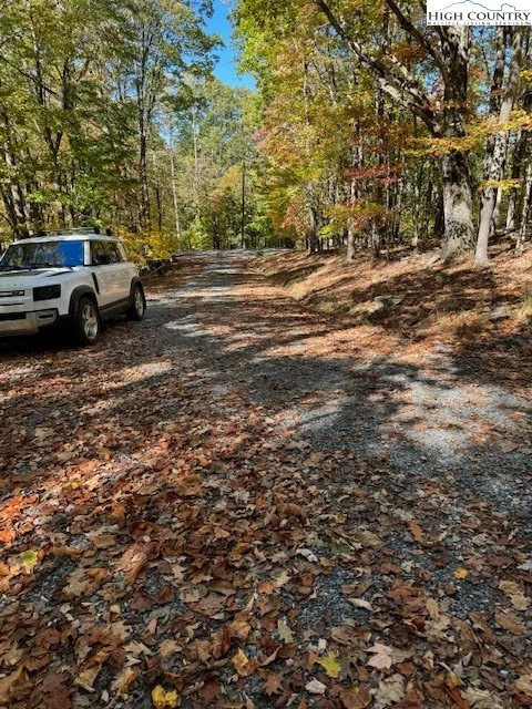 Image number 7 for the current listing