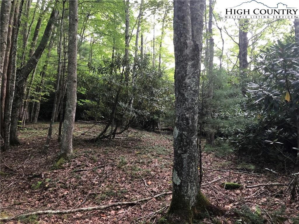 Image number 1 for the current listing