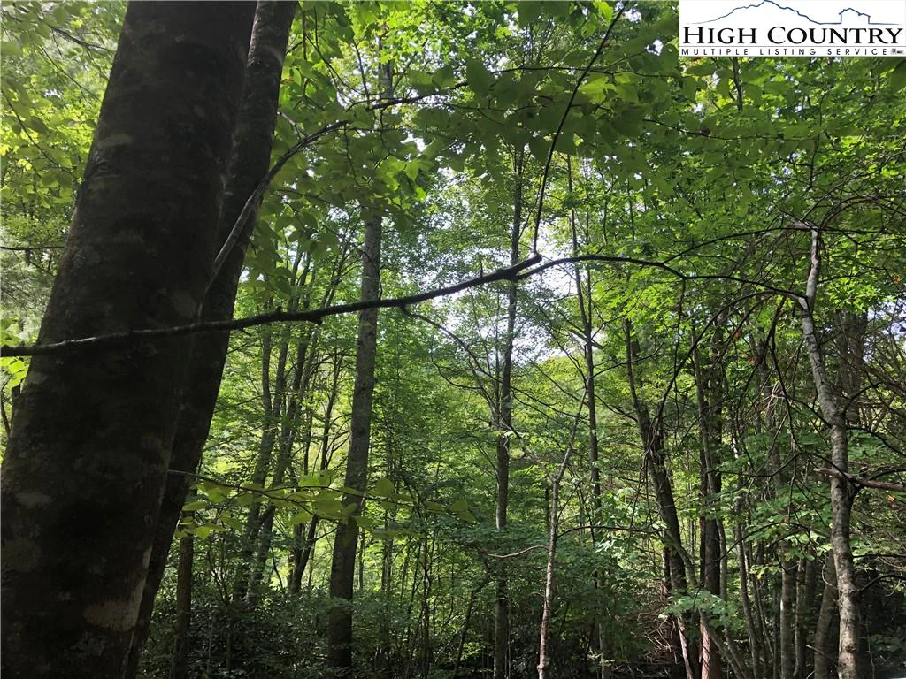 Image number 3 for the current listing