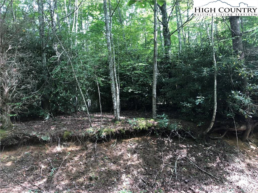 Image number 4 for the current listing
