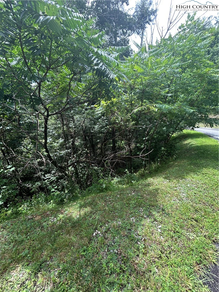 Image number 19 for the current listing