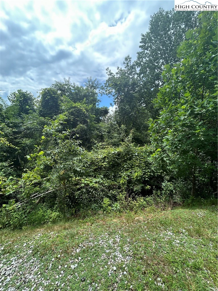 Image number 18 for the current listing