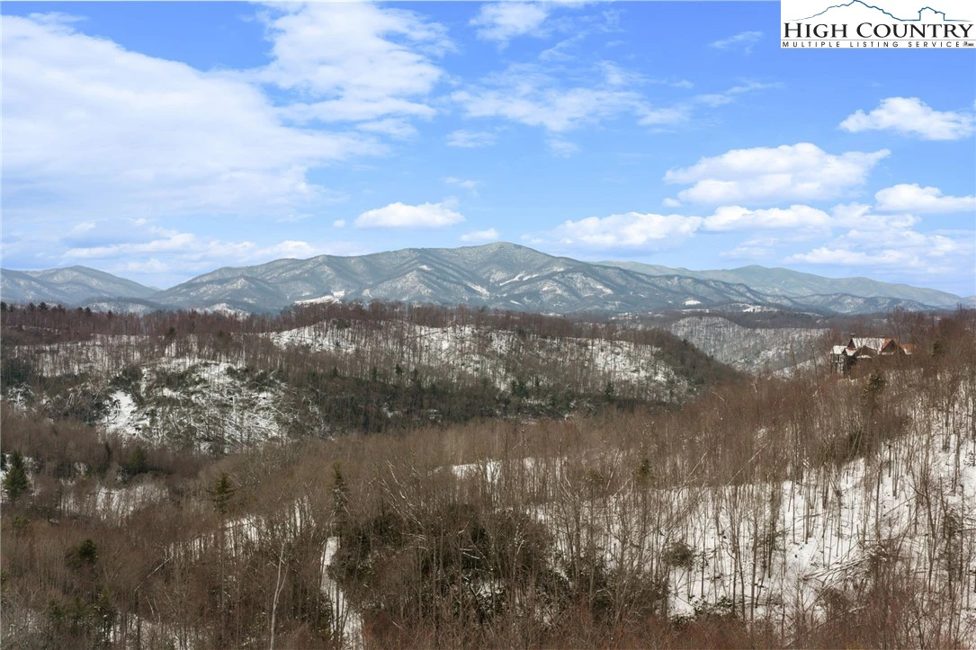 Image number 1 for the current listing