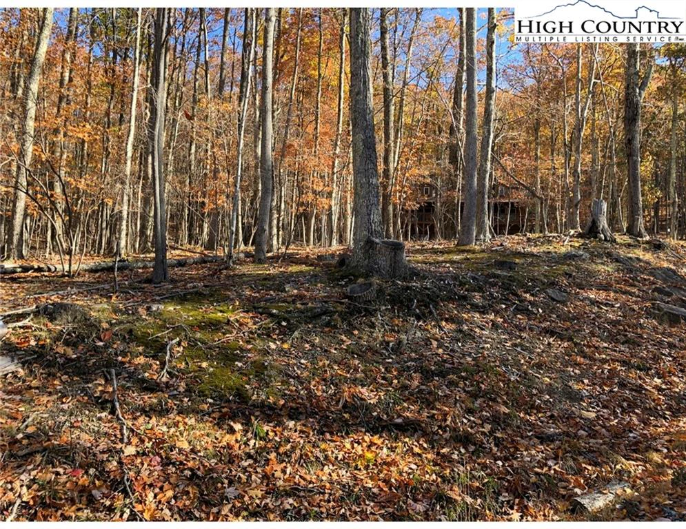 Image number 1 for the current listing