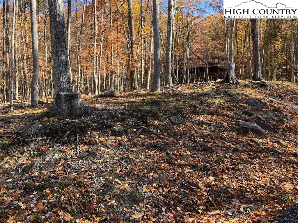 Image number 3 for the current listing