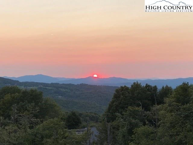 Image number 1 for the current listing