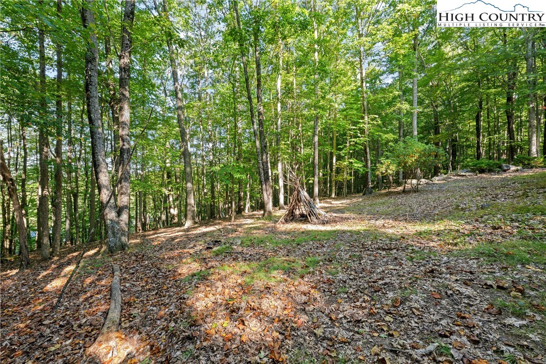 Image number 16 for the current listing