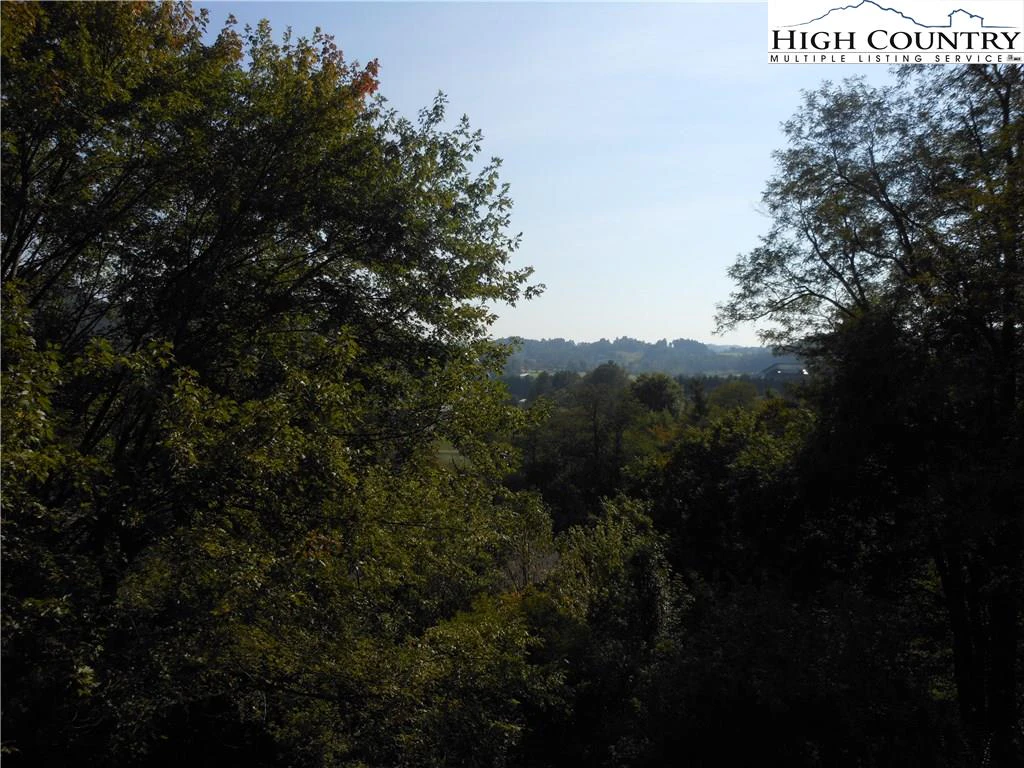 Image number 16 for the current listing