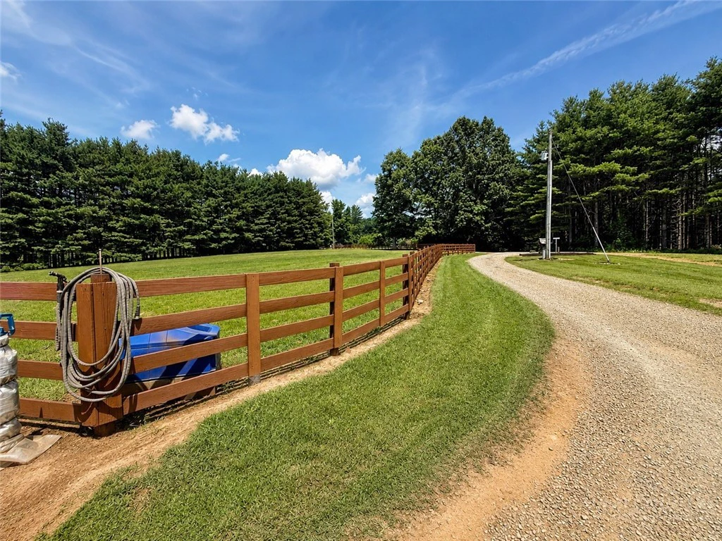 Image number 8 for the current listing