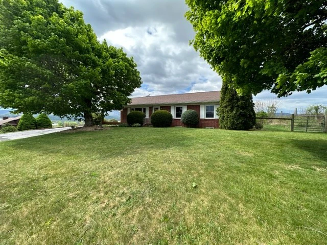Image number 1 for the current listing