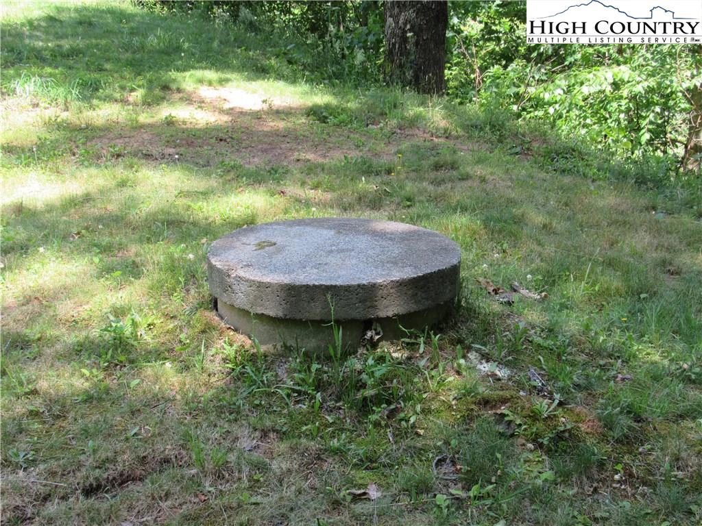Image number 5 for the current listing
