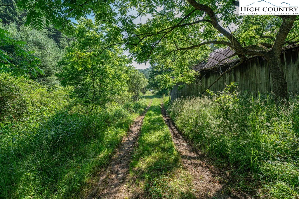 Image number 3 for the current listing