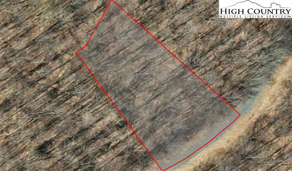 Image number 1 for the current listing