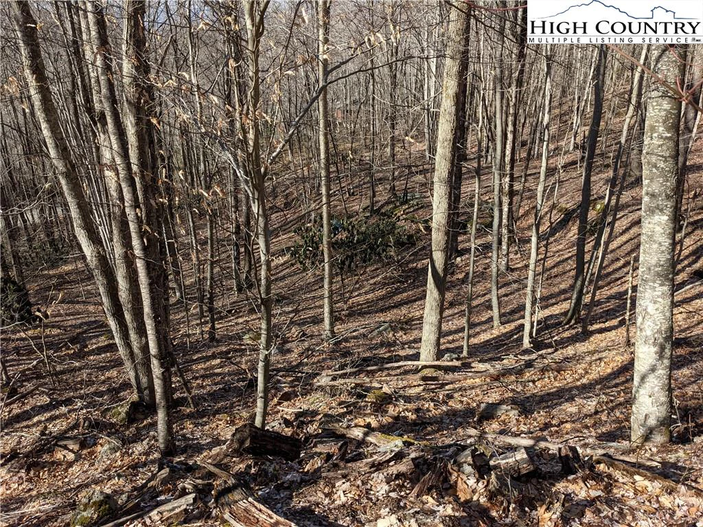 Image number 12 for the current listing