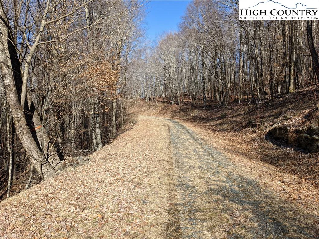 Image number 3 for the current listing