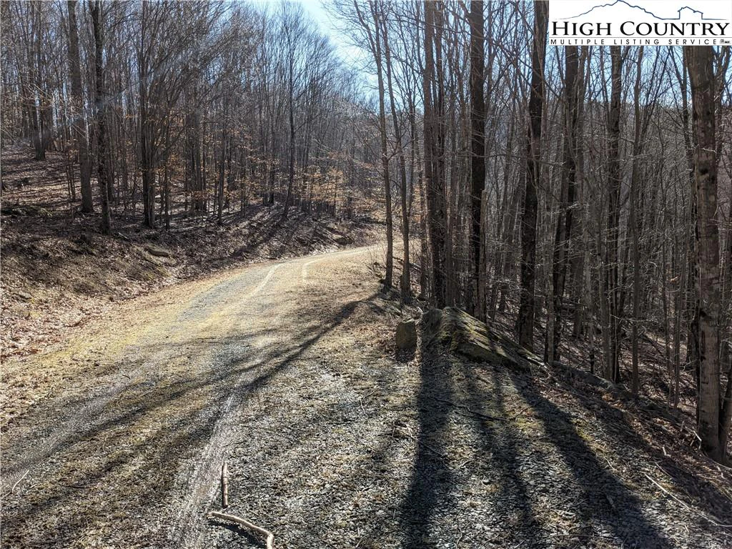 Image number 7 for the current listing