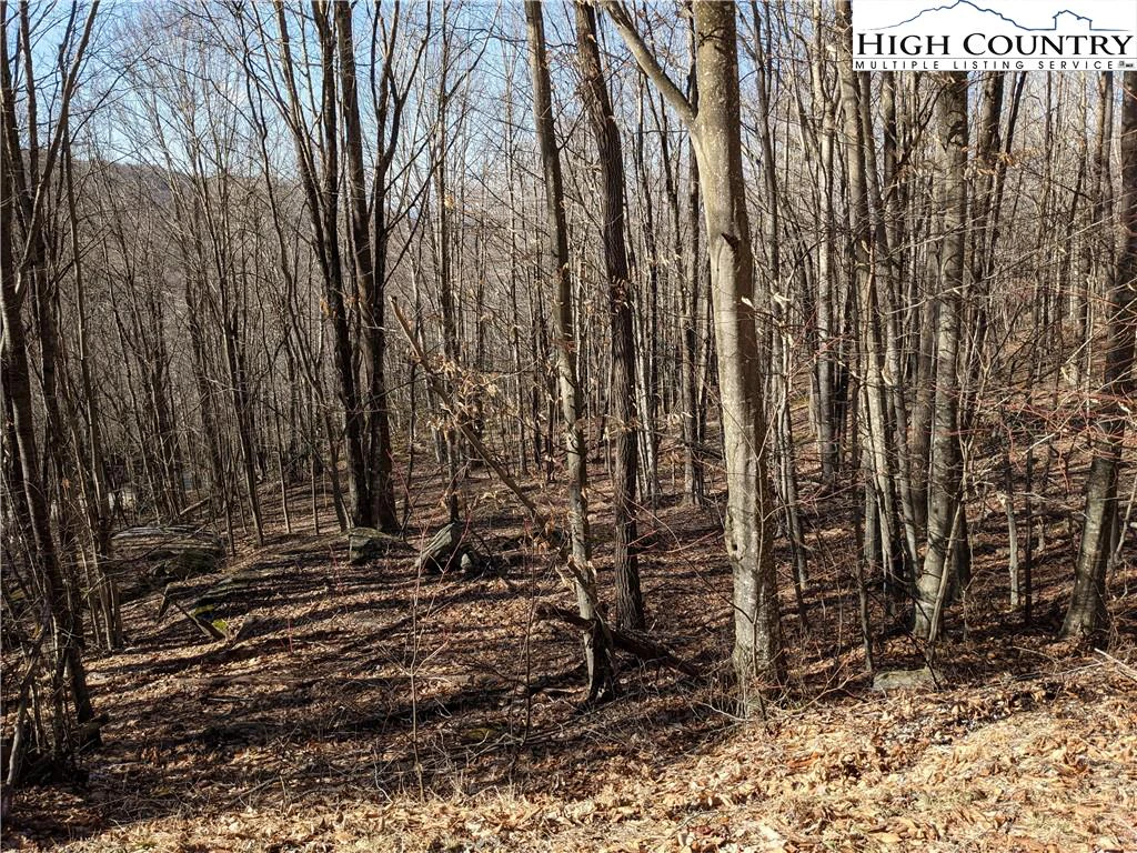 Image number 8 for the current listing
