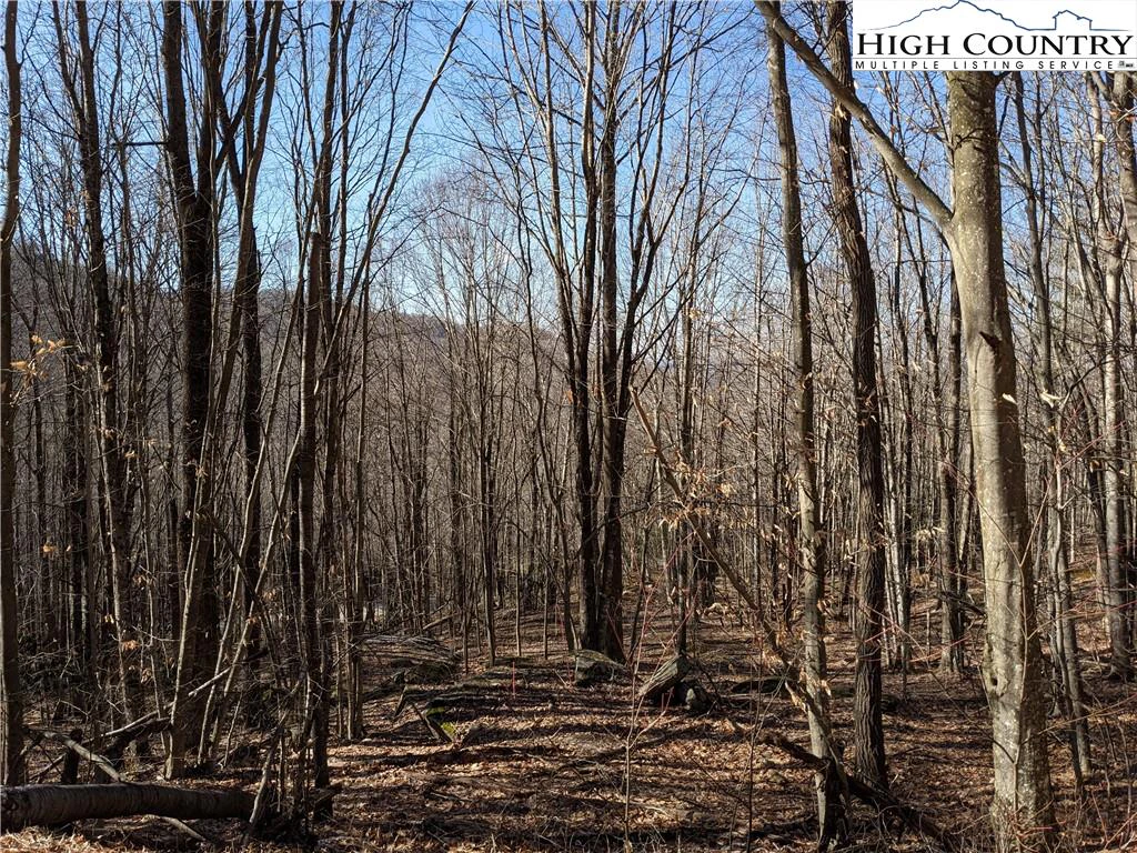 Image number 9 for the current listing